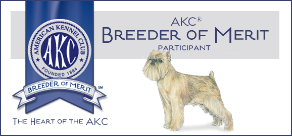 AKC Breeders of Merit